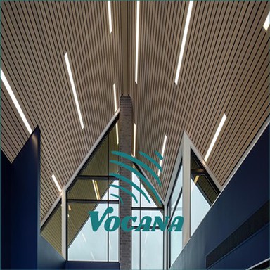 Videi draudzīgi WPC kokmateriālu griesti viesnīcām